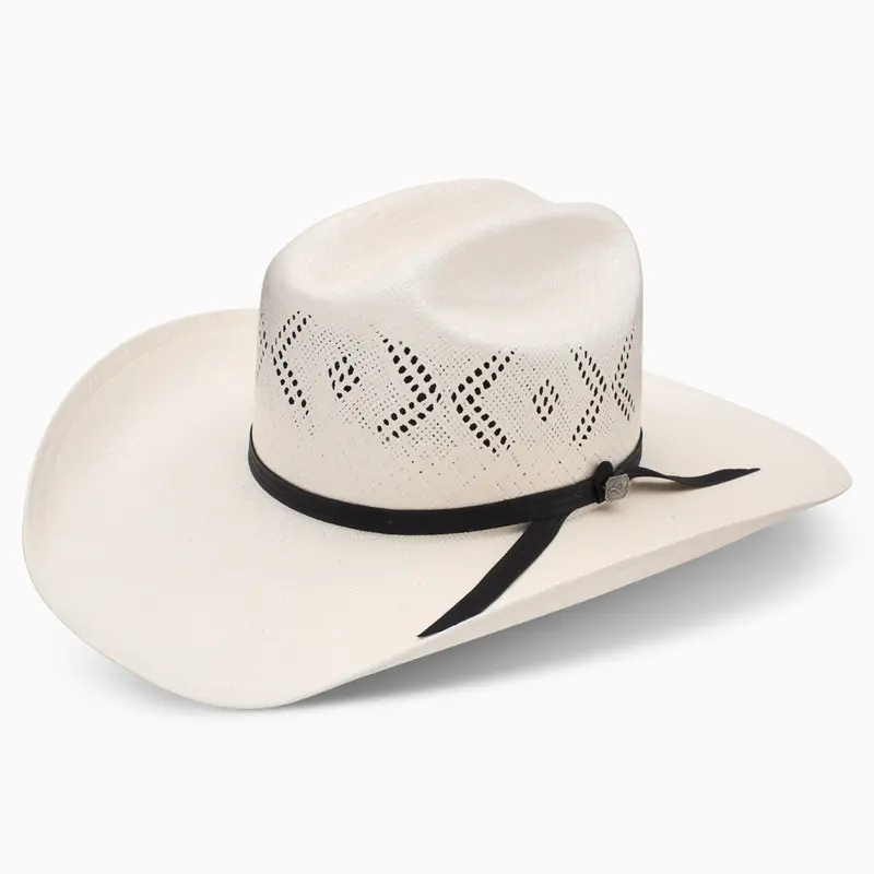 20X Reins Ba Profile Cowboy Hat 1