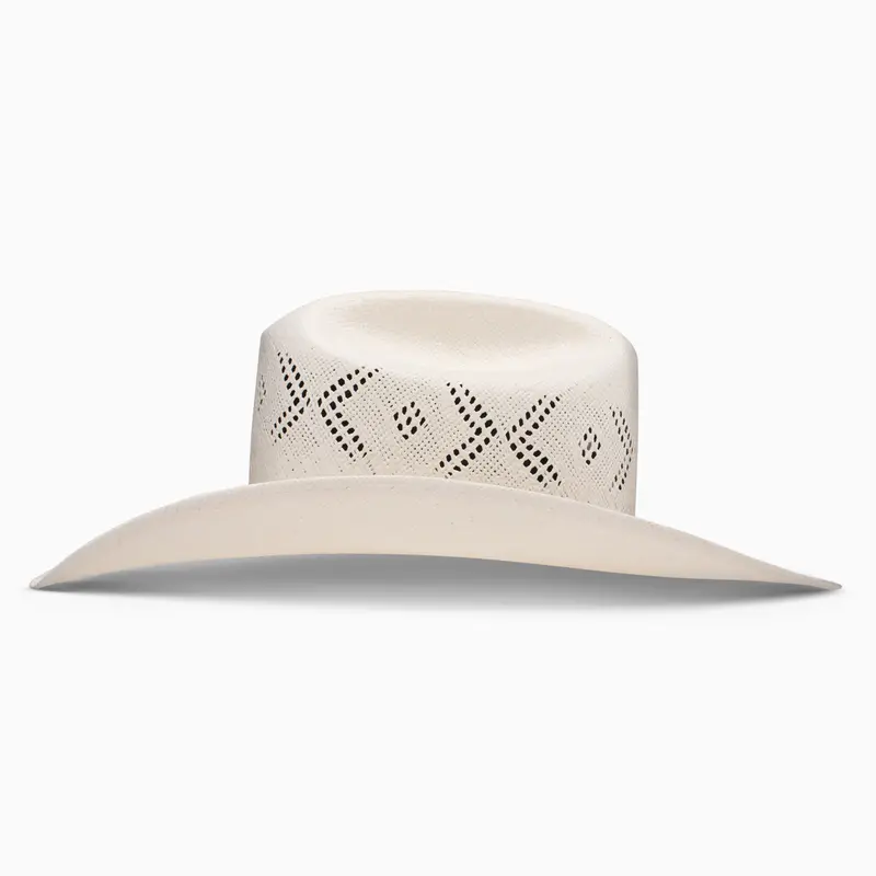 20X Reins Ba Profile Cowboy Hat 3