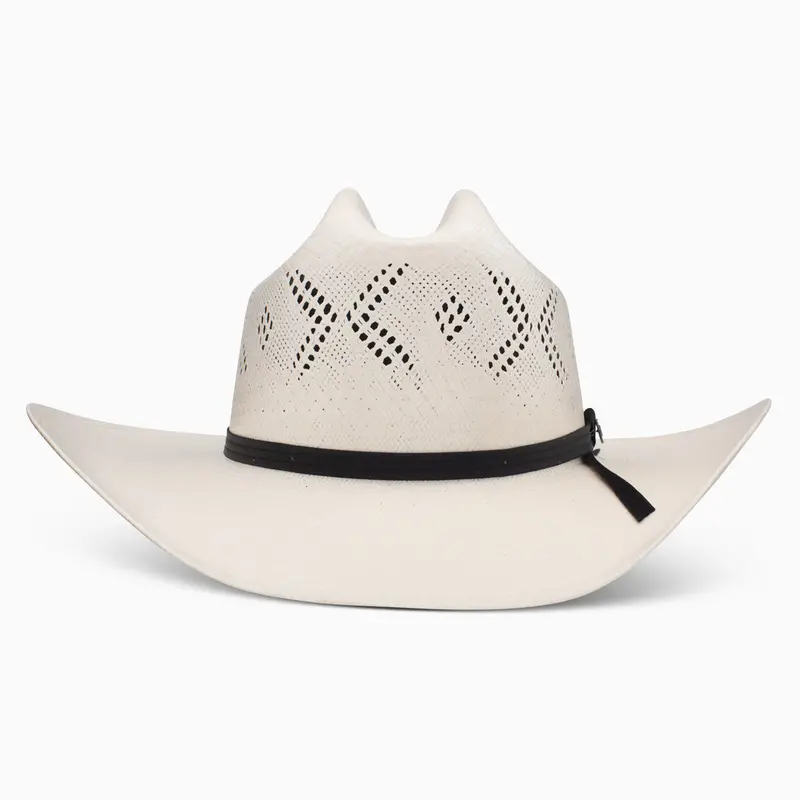 20X Reins Ba Profile Cowboy Hat 4