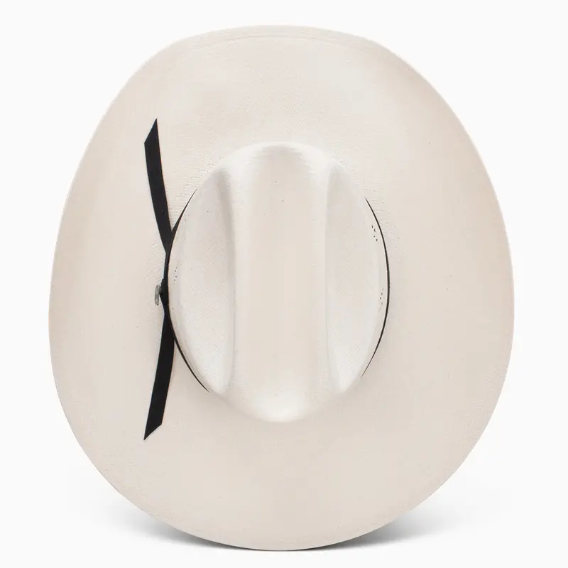 20X Reins Ba Profile Cowboy Hat 5