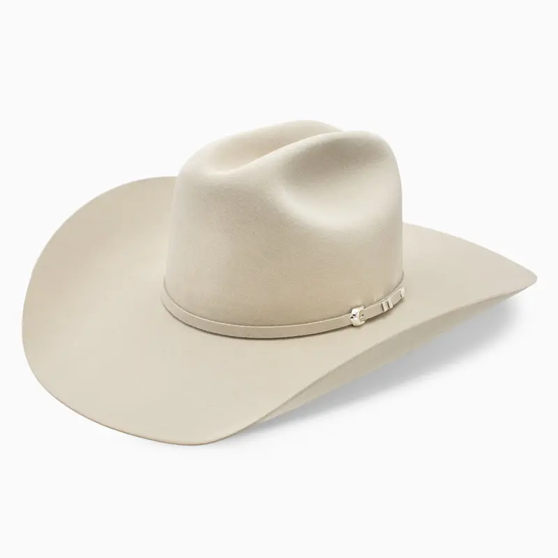 40X Houston Arena - Houston Rodeo Cowboy Hat 1