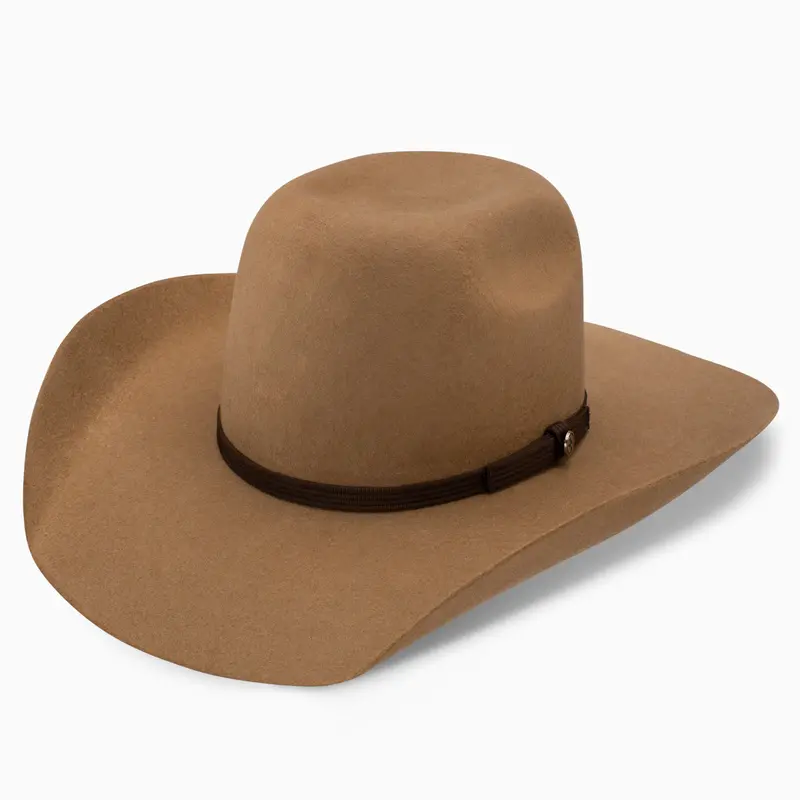 4X Day Money - Hooey Cowboy Hat 1