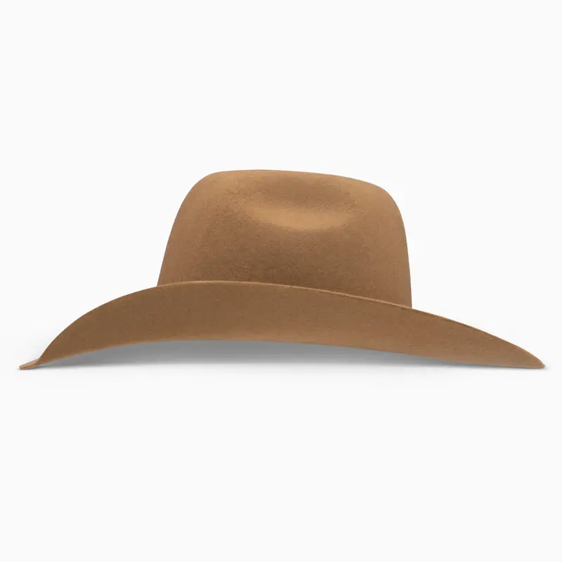 4X Day Money - Hooey Cowboy Hat 2