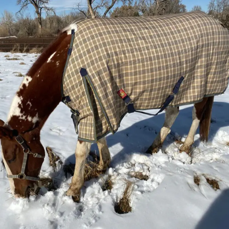 5/A Baker® Medium Weight 200 Gram Turnout Blanket 2
