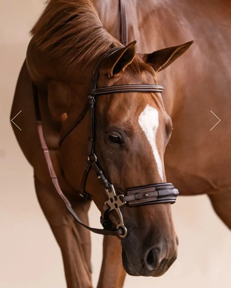 Adt Hackamore Bridle 2