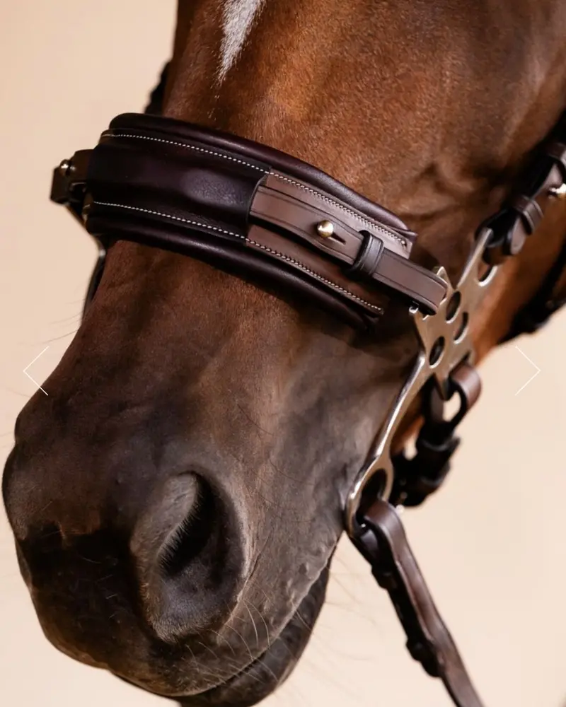 Adt Hackamore Bridle 3