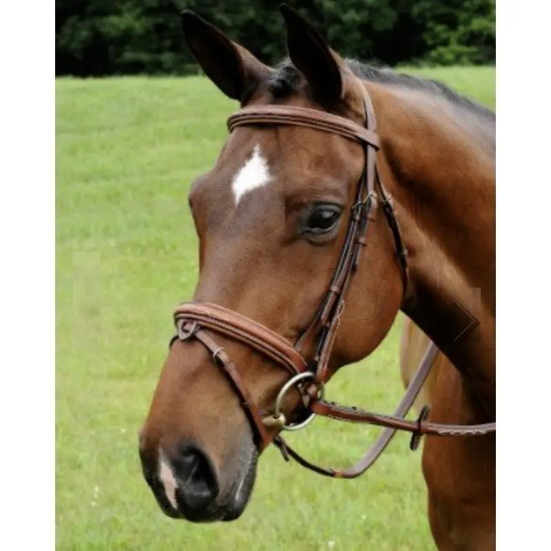 Adt Starman Bridle With Reins 1