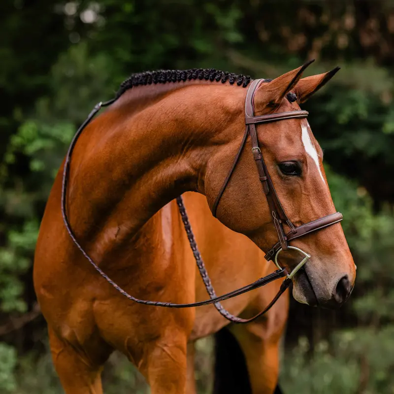 Adt Stealth Tribute Fancy Stitch Show Bridle 1
