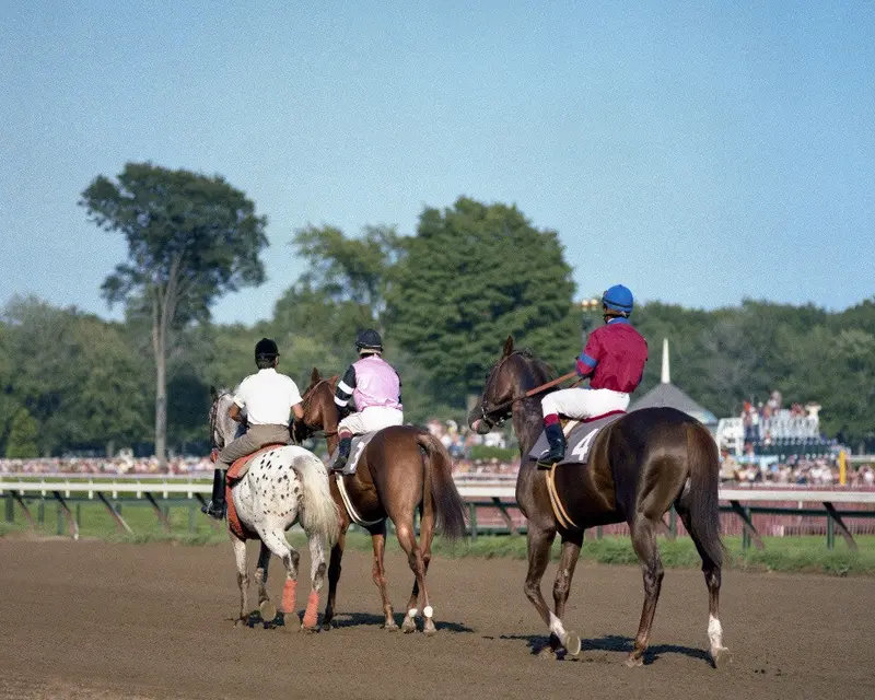 Affirmed And Alydar At The Travers 1