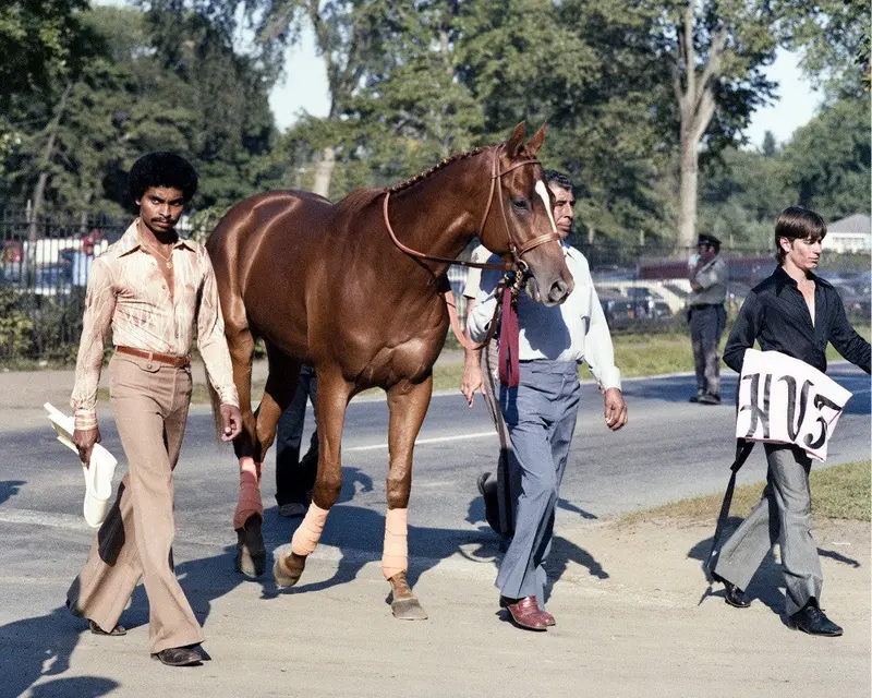 Affirmed Walking To The Travers, 1978 1