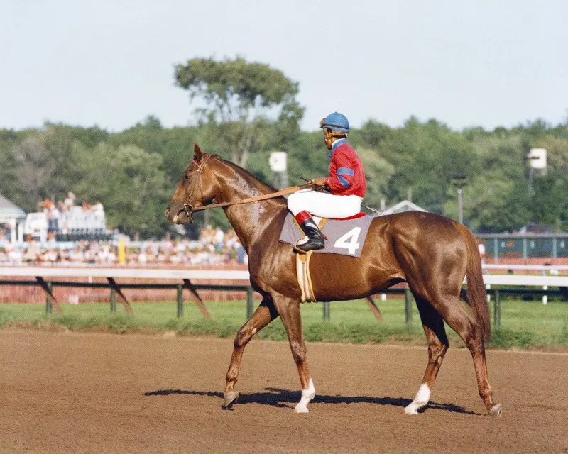 Alydar At The Travers 1