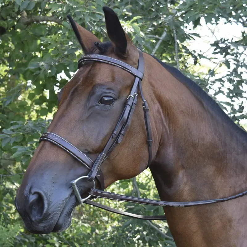 Black Oak 'Spruce' Hunter Bridle 1