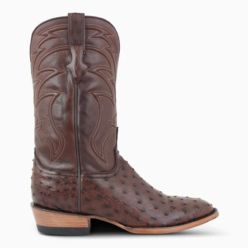 Brown Full Quill - Round 1