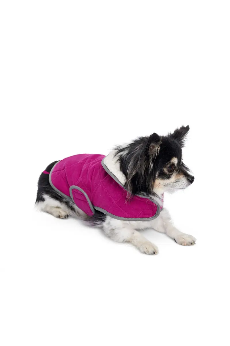 Burda Dog Coats 6049 1