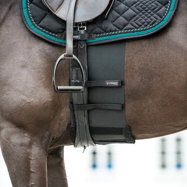 Catago Belly Band 1