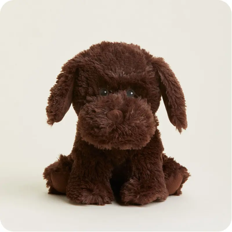 Chocolate Labrador Warmies 1