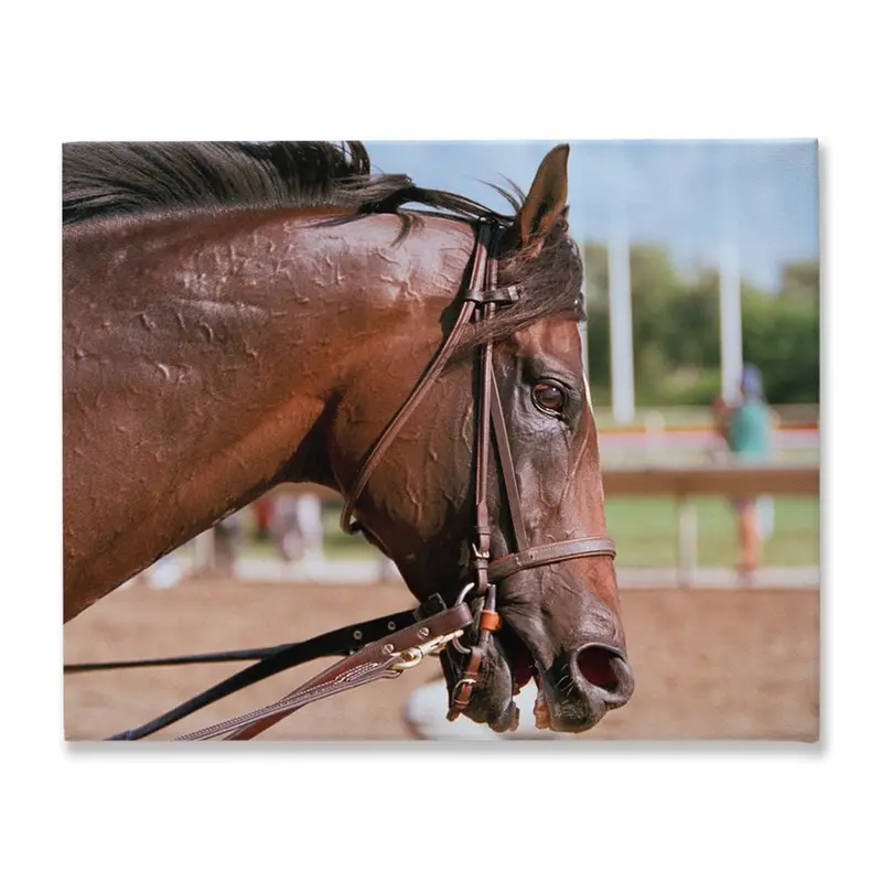 Cigar Stretched Canvas 1