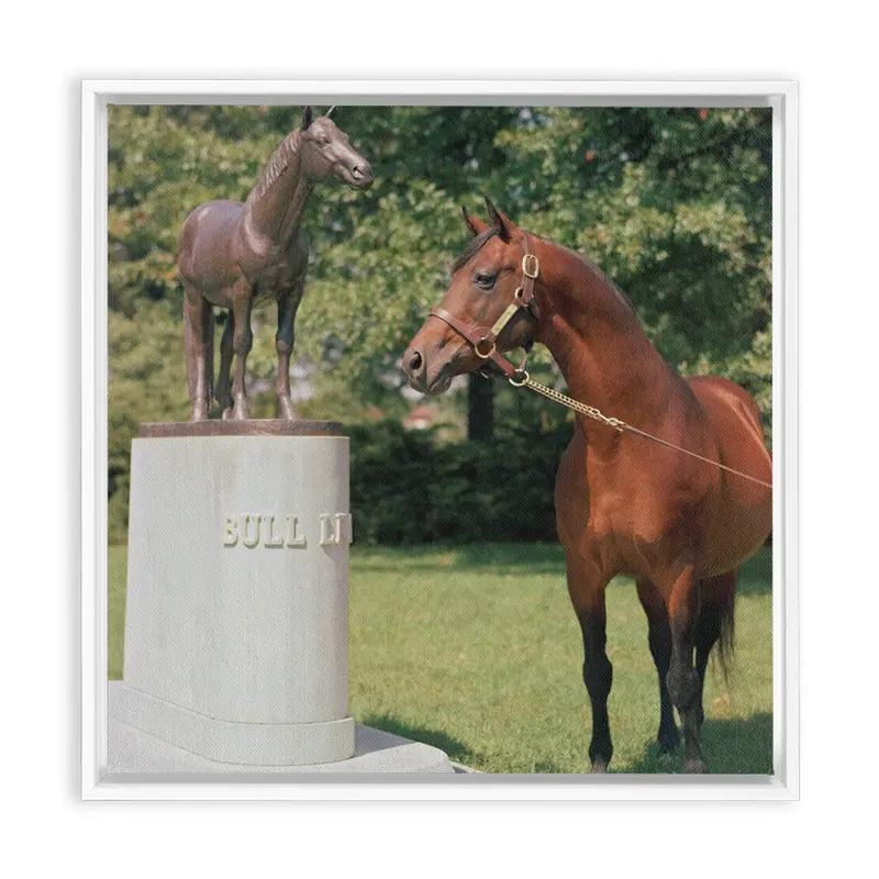 Citation At Bull Lea's Grave, Framed Canvas 1