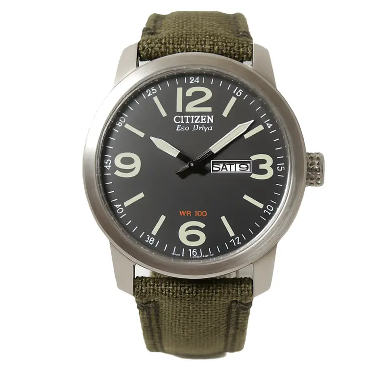 Citizen® Military Commemorative Eco-Drive Men's Watch 1