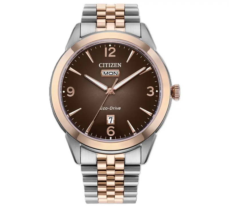 Citizen® Rolan Men's Watch 1