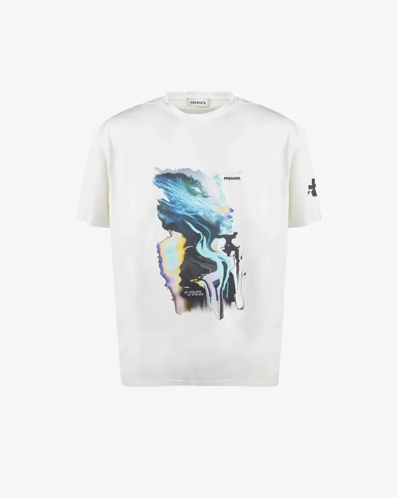 Cotton T-Shirt With Print 1