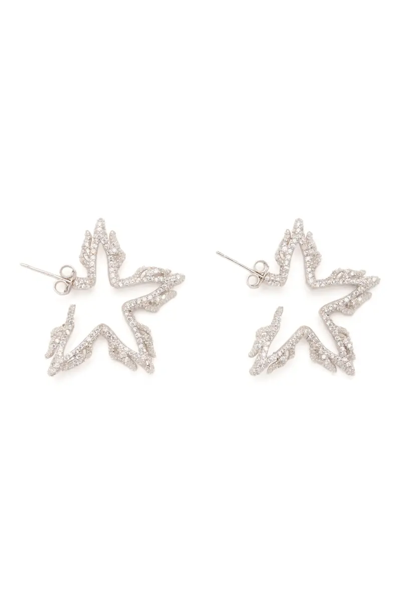 Crystal Clear Flame Star Earrings 1
