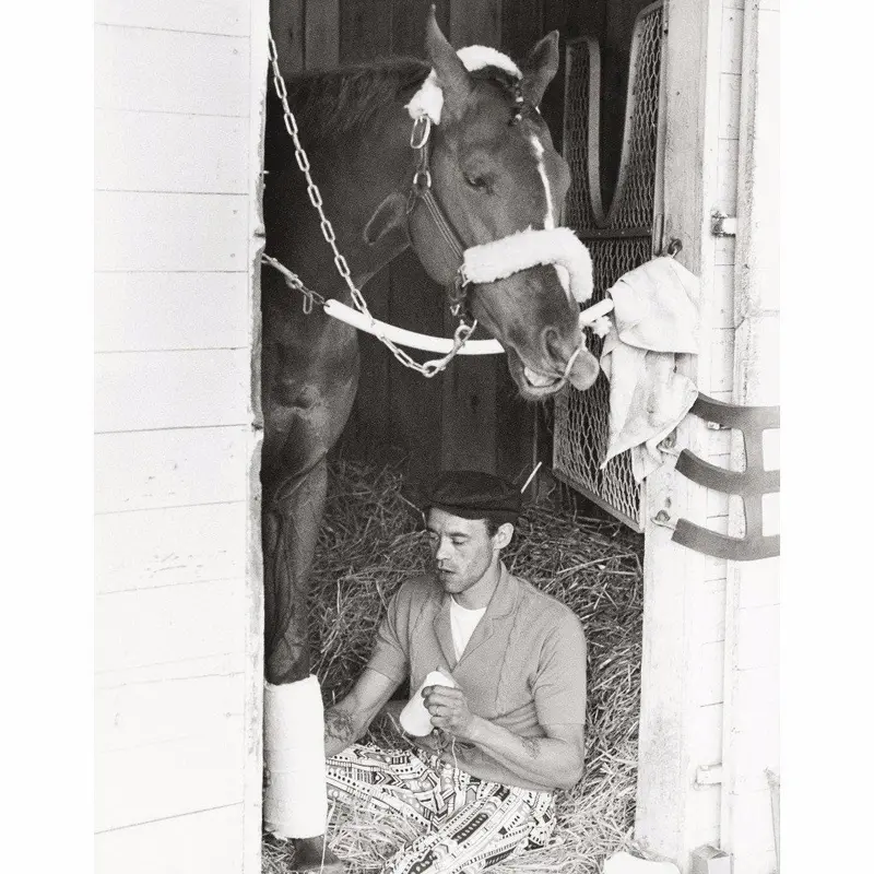 Dust Commander At Kentucky Derby 1