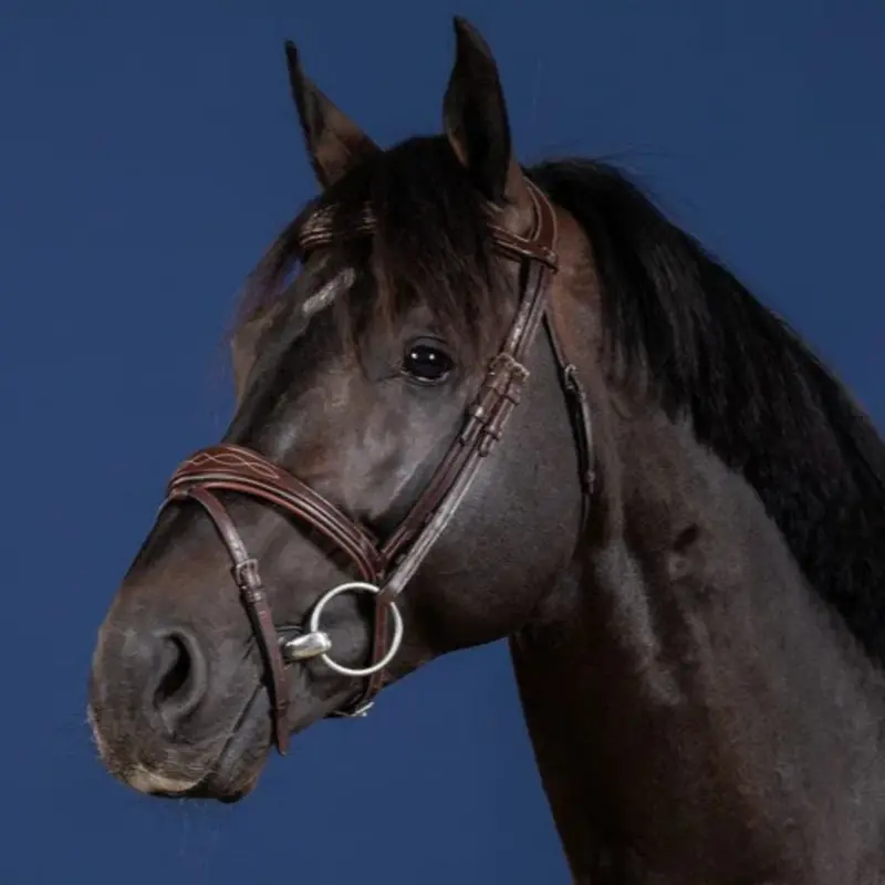 Dy'on Anatomic Flash Jumper Bridle 1