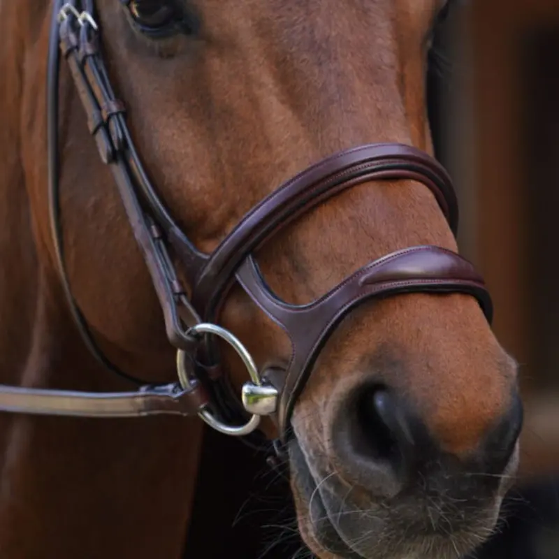 Dy'on Double Jumper Noseband 1