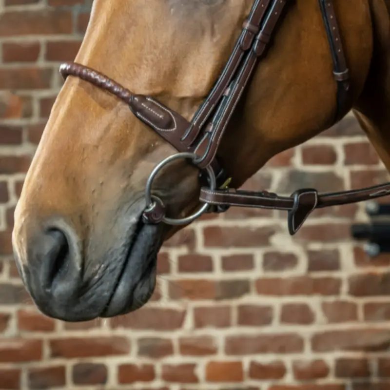 Dy'on Leather Covered Rope Noseband 1