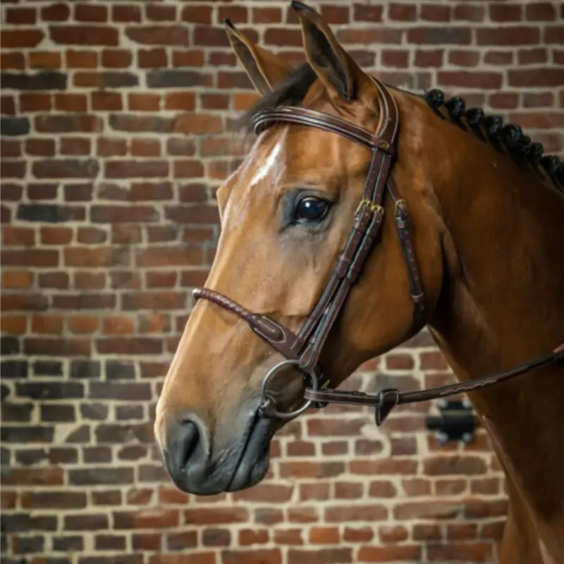 Dy'on Leather Covered Rope Noseband Bridle With Reins 1