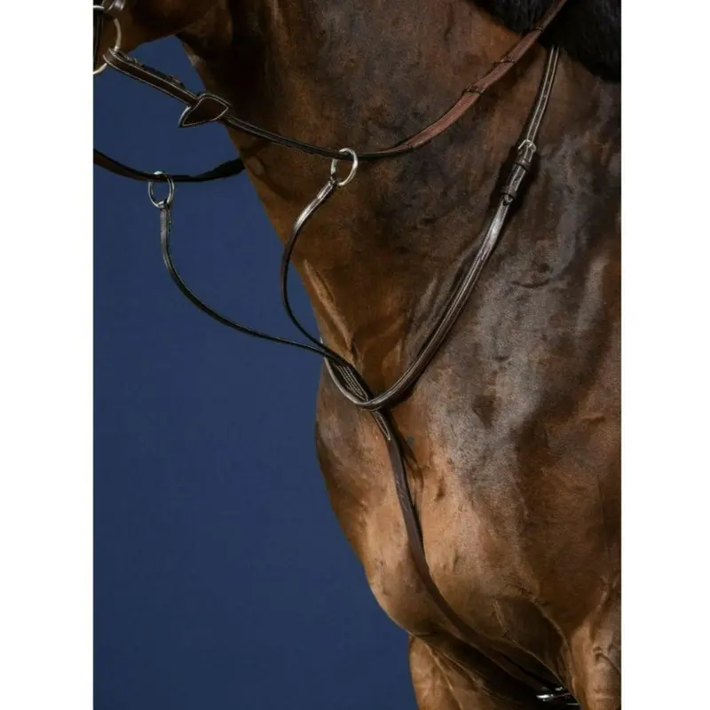 Dy'on Running Martingale 1