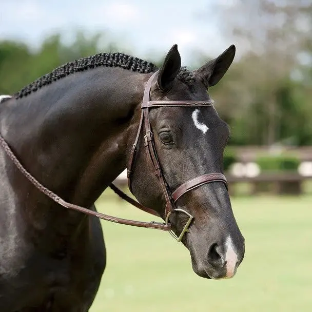 Dy'on Wide Nose Anatomic Hunter Bridle 1