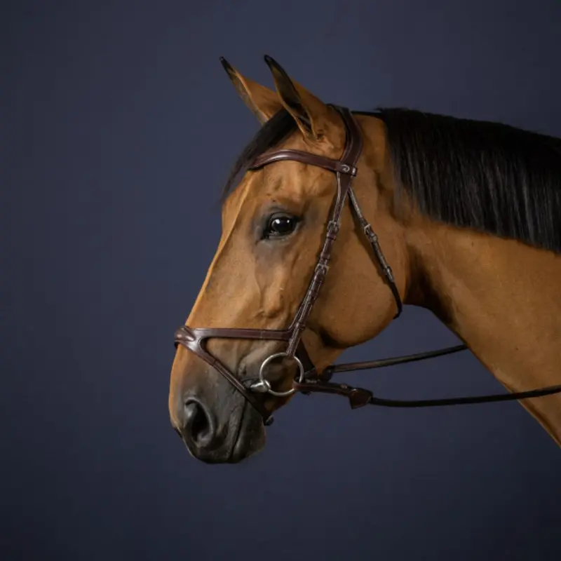 Dy'on X Fit Anatomic Bridle 1