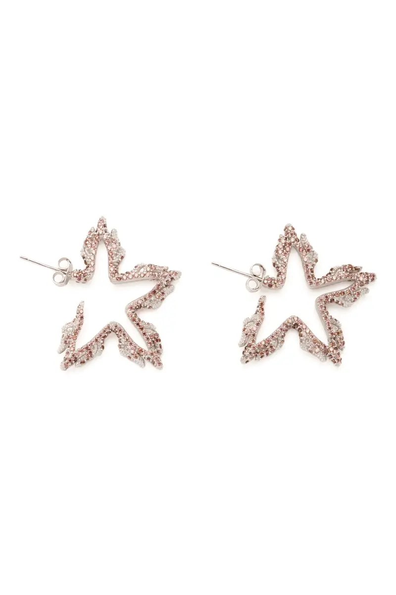 Earth Flame Star Earrings 1