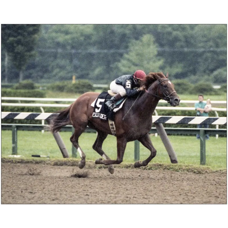 Easy Goer At Saratoga 1