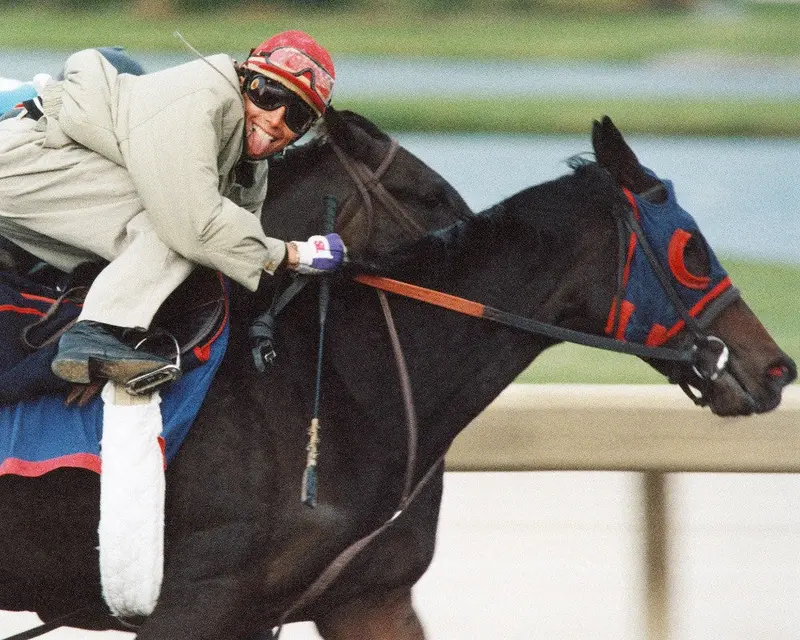 Exercise Rider Horsing Around 1
