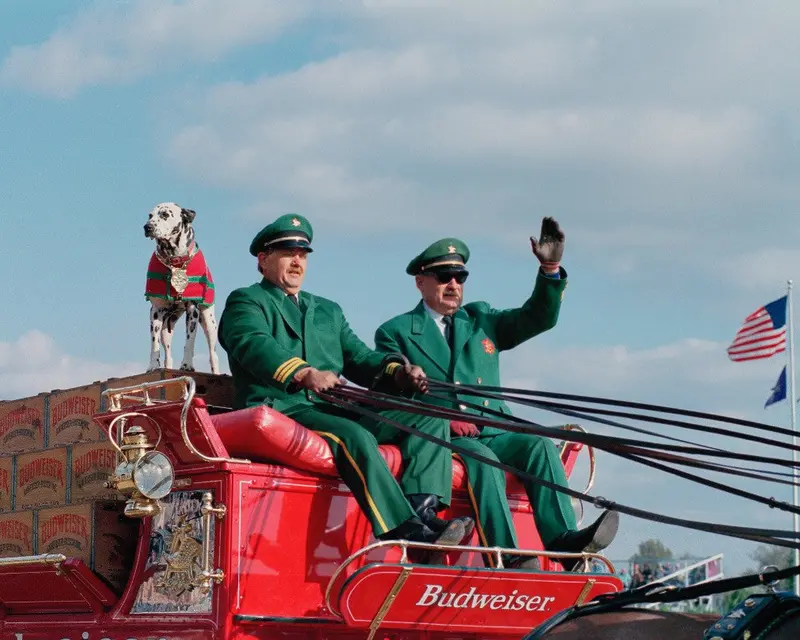 Famous Budweiser Wagon And Dalmatian 1