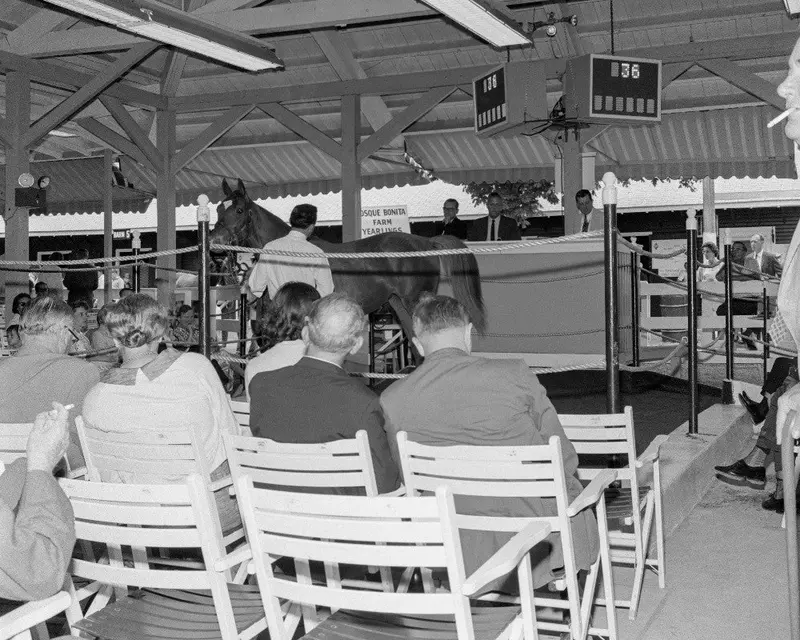 Fasig Tipton Sales, 1968 1