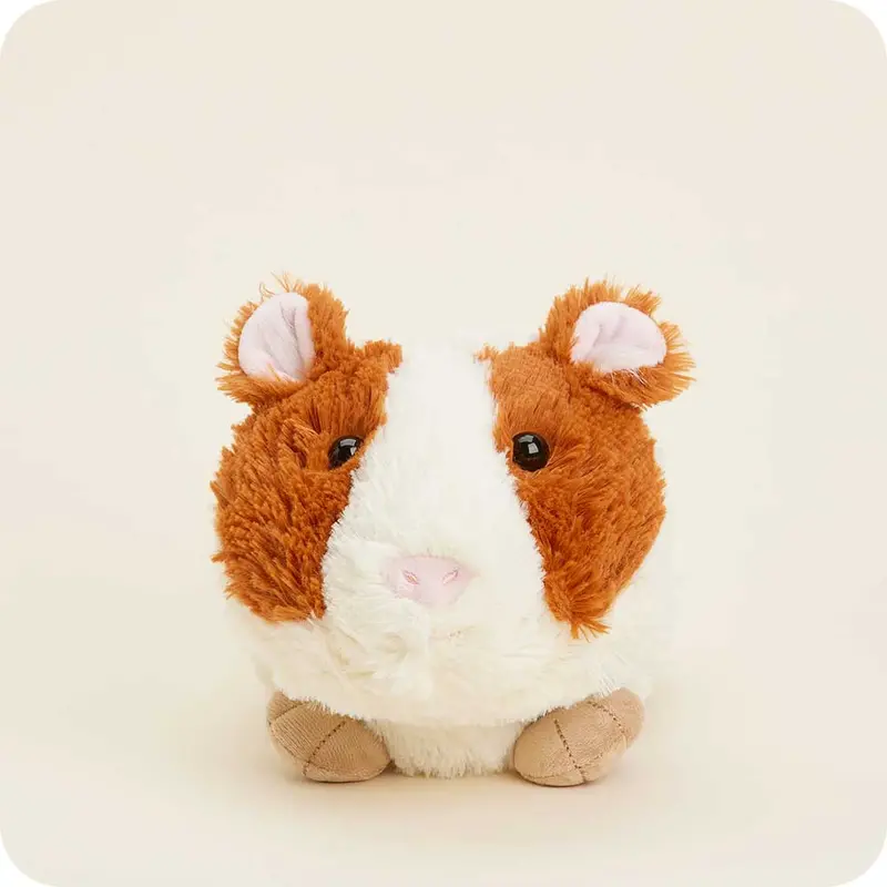 Guinea Pig Warmies 1