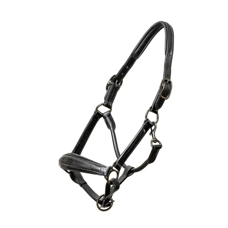 Halter Ego Doc Marten Halter 1