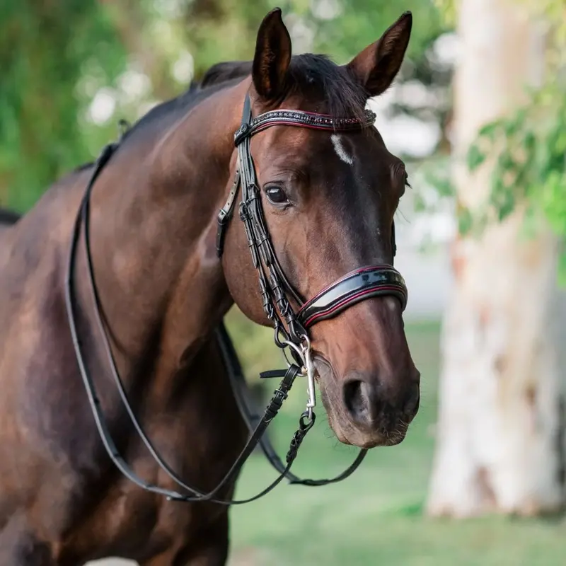 Halter Ego Hayworth Double Bridle 1