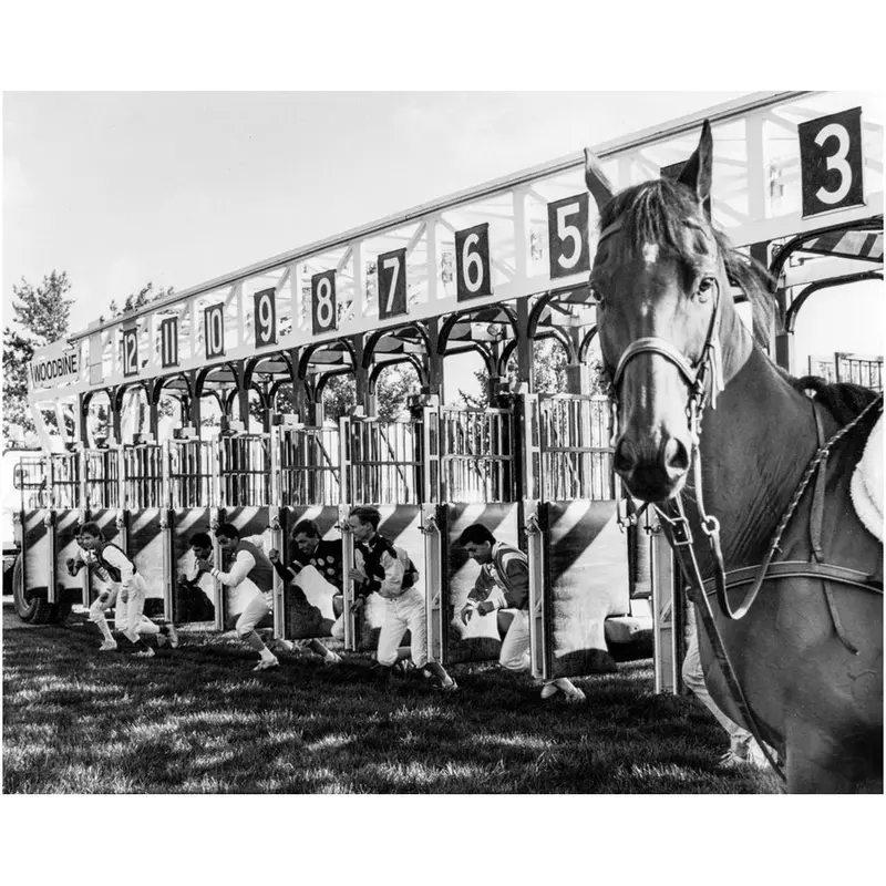 Horse And Jockeys Black And White 1