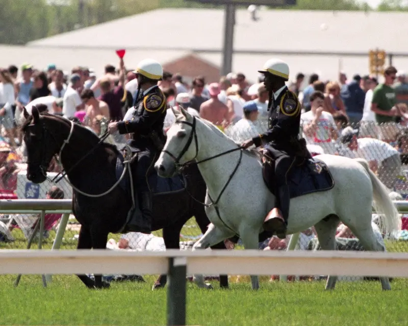 Horses On Parade 1