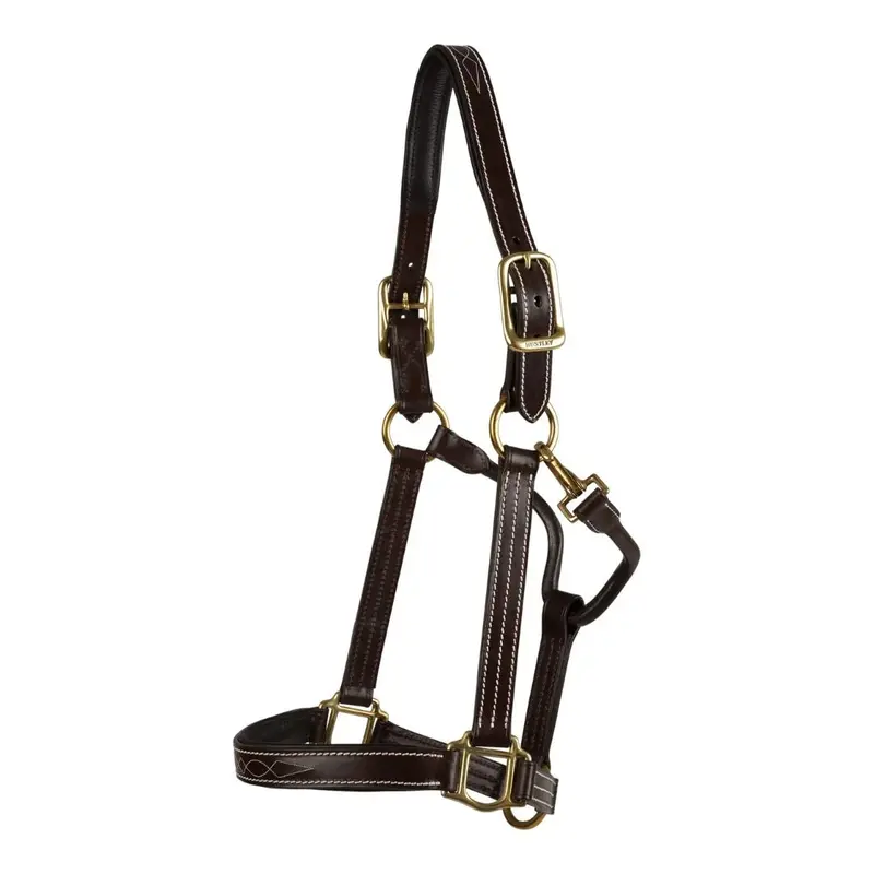 Huntley Sedgwick Fancy Stitched Padded Halter 1