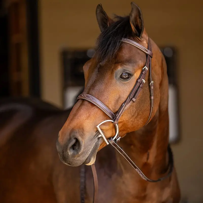 Huntley Sedgwick Fancy Stitched Square Raised Hunter Bridle With Reins 1