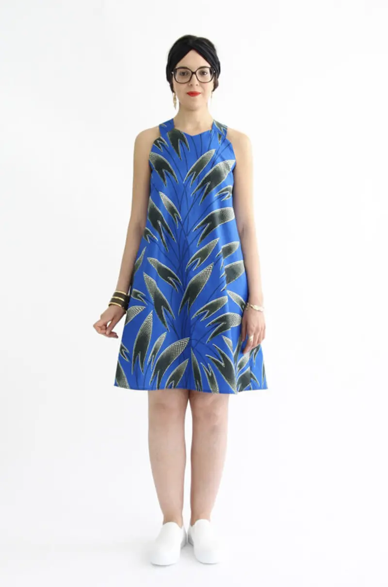 I Am Patterns Celeste Dress And Top 1