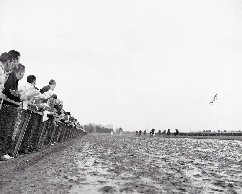 Keeneland Mid-Century 1