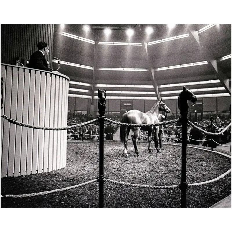 Keeneland Summer Sale, 1970 1