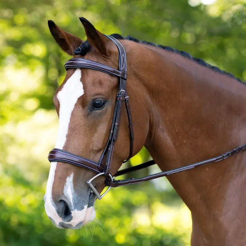 Kl Select Hampton Hunter Bridle 1